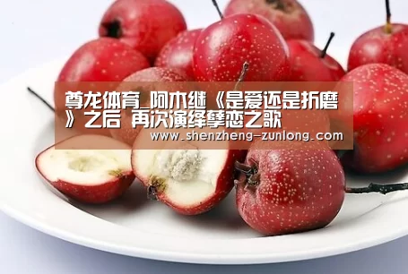 尊龙体育_阿木继《是爱还是折磨》之后 再次演绎孽恋之歌(图3) 尊龙人生就是博